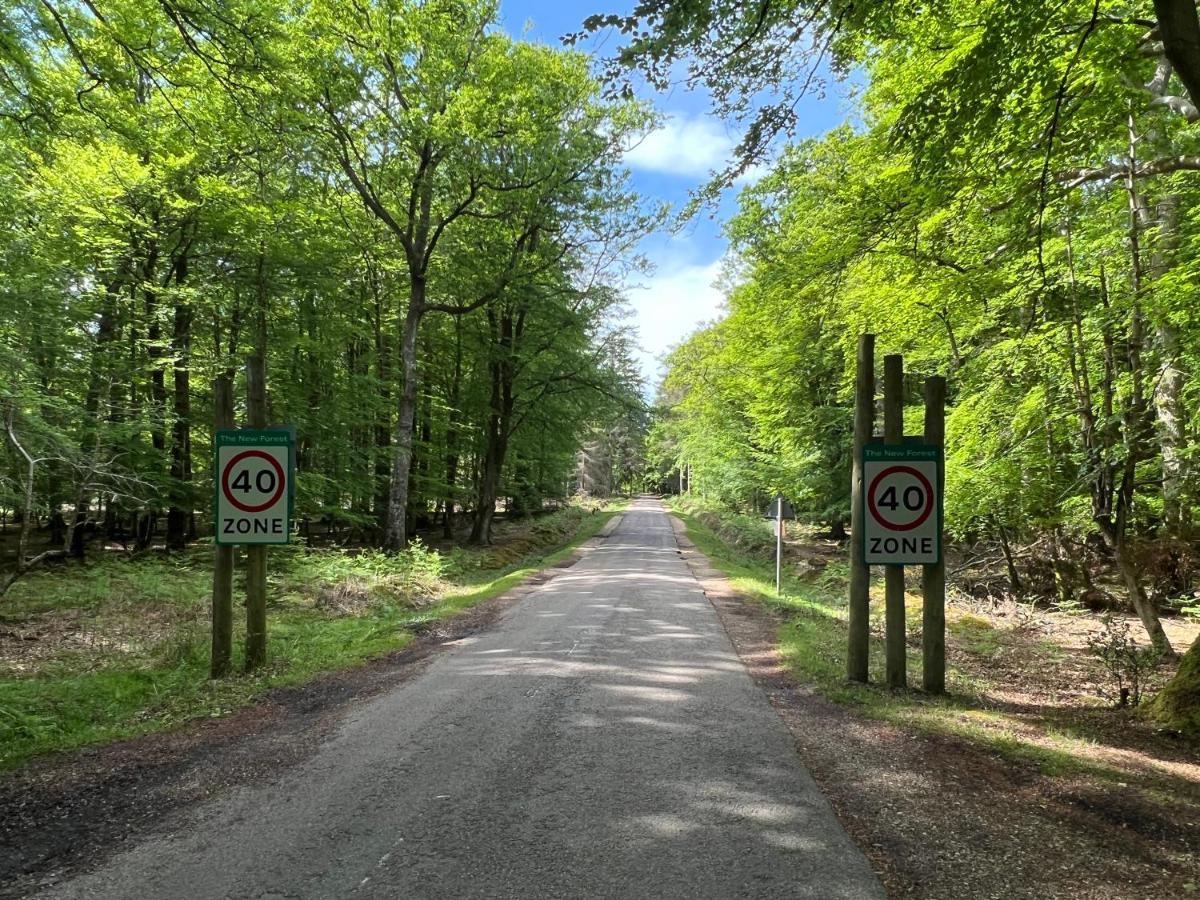 לימינגטון Jungle Lodge מראה חיצוני תמונה